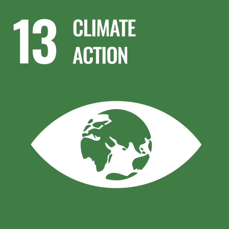 Icon SDG13 - Climate Action